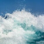 olas